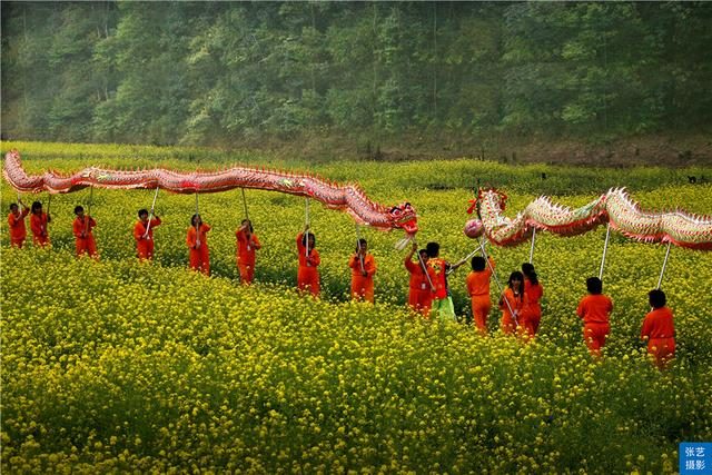 阳春三月，广东石门油菜花田乡村美，春天赏花拍照踏青好去处