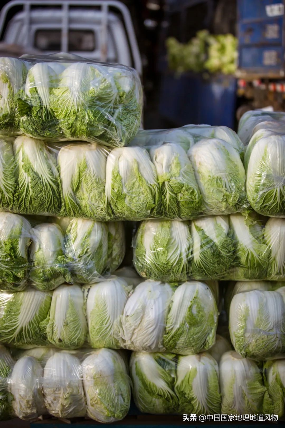 �й���͵����߲˴�ʡ��Ϊʲô�Ǹ��ࣿ