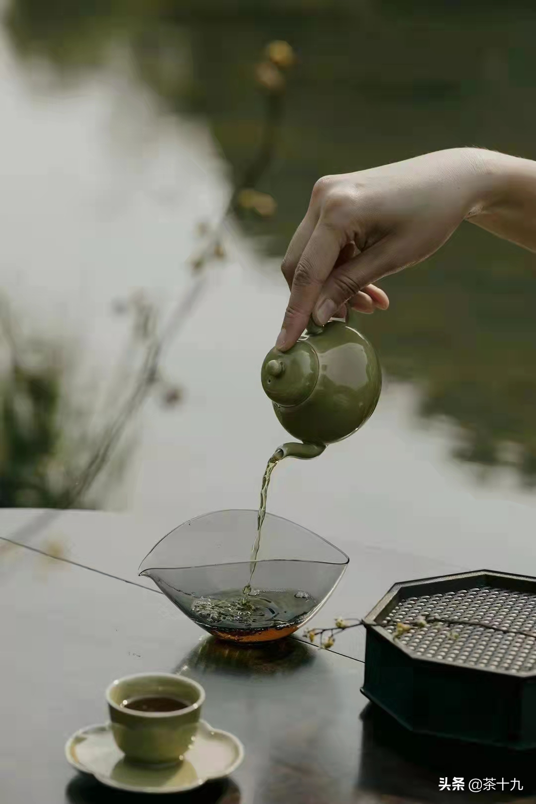 茶道——天育万物，皆有至妙，人之所工，但细浅易