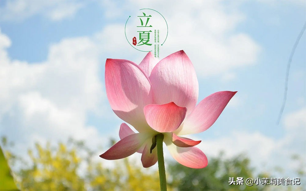 明日立夏，&ldquo;補夏&rdquo;有講究，&ldquo;食2肉吃5菜，忌2樣&rdquo;，夏天不受苦