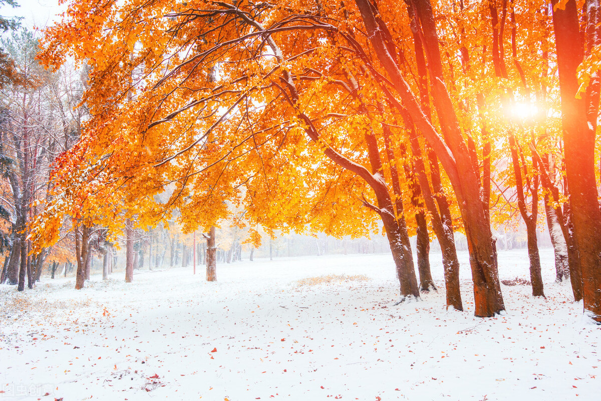 其实我们在帮助别人的时候，就是想在别人那里得到某些东西