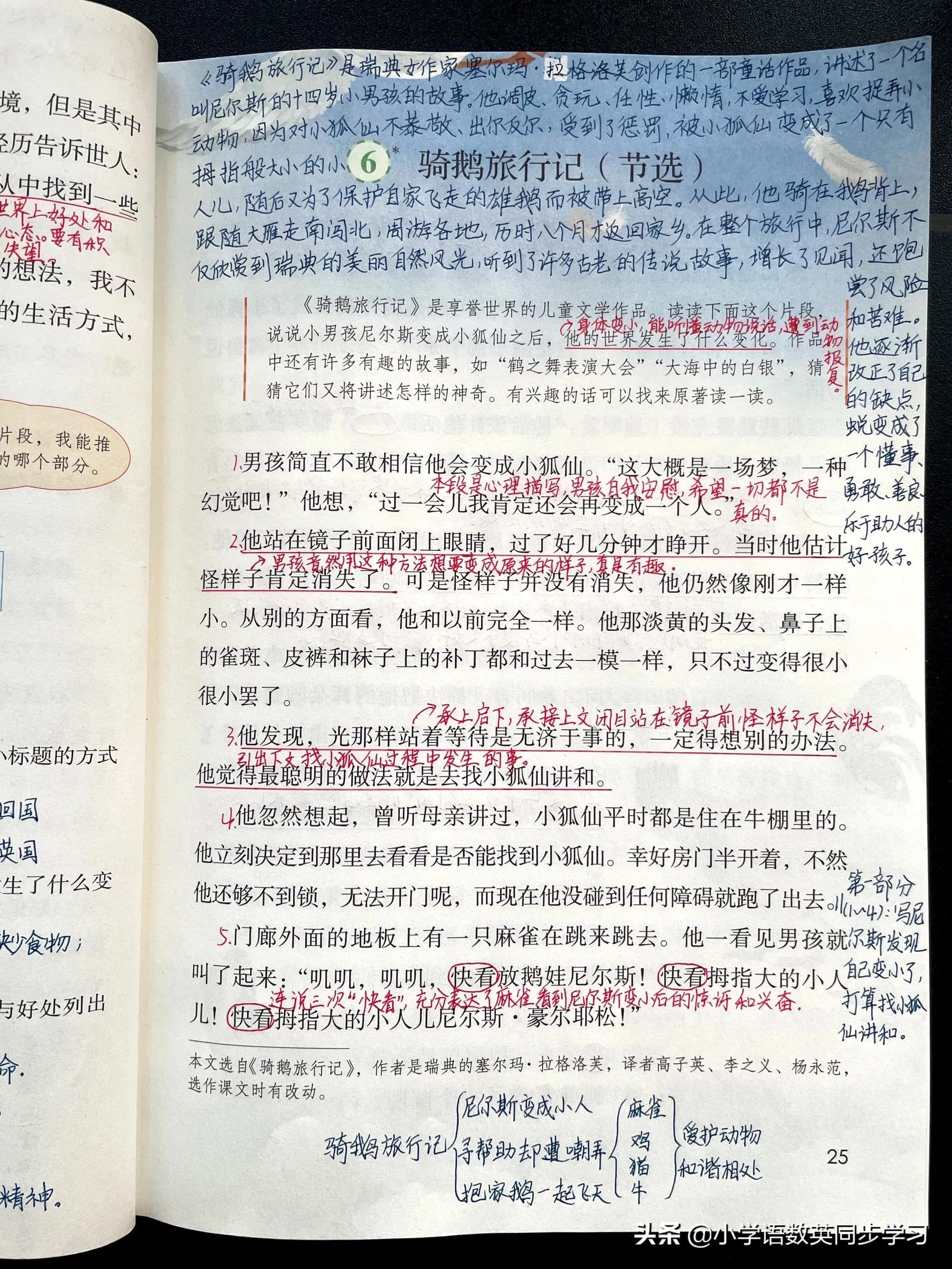 羞愧让我低下头，也让我学会勇敢面对错误。