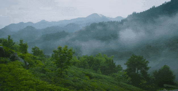 6则寓言，故事很短，道理很深，令人深思