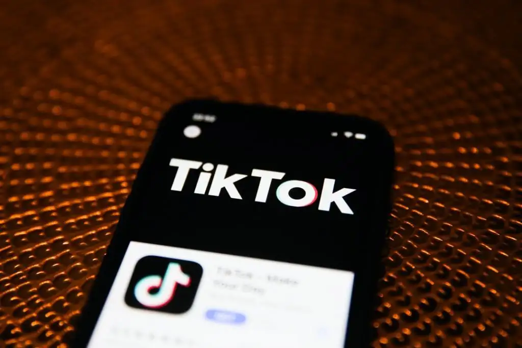 tiktok国际版ios下载（tiktok国际版ios下载需要拔卡嘛）-第1张图片-昕阳网