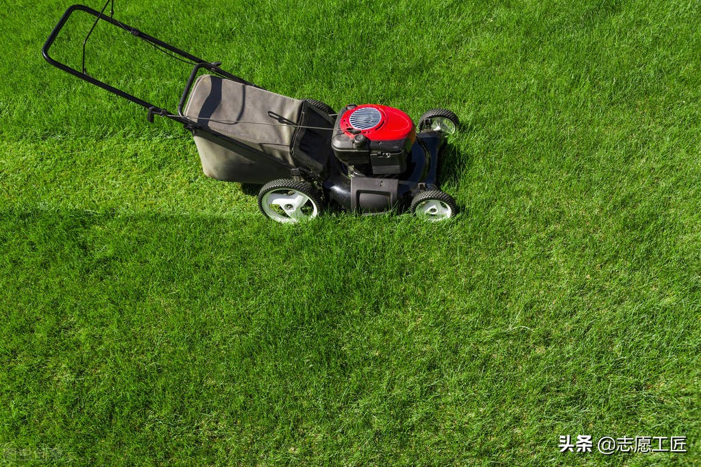 大学专业：农学类下设各专业对比分析，有些专业很冷门但前景很好