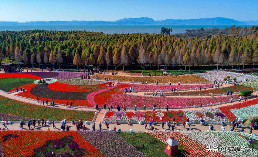 到2025年建设1000家国家级生态农场？五大分区必不可少，这样操盘