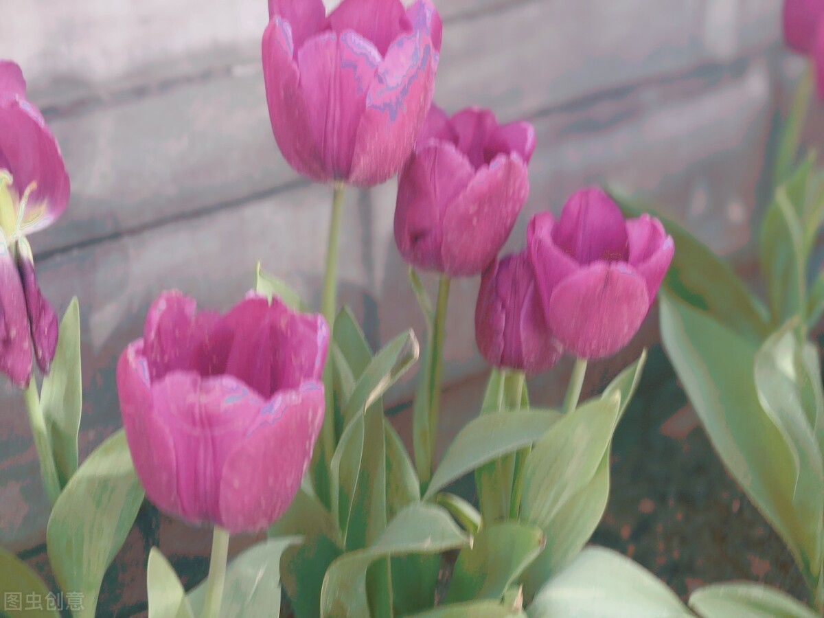 「慢热型恋人」的 5 个特质！比起热烈浪漫更需要安全感