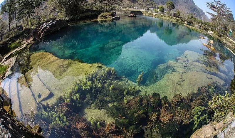 桃花水母天窗究竟是什么地方,为何会有人来潜水?