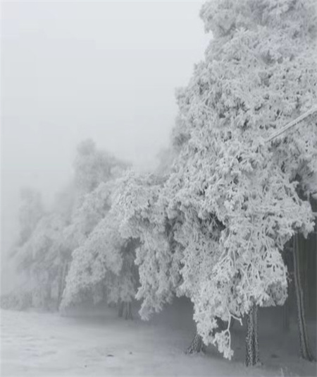 昆明在下雪！22条道路已封闭，多条高速交通管制