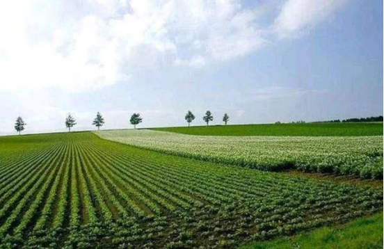 伟大新中国的农业发展史