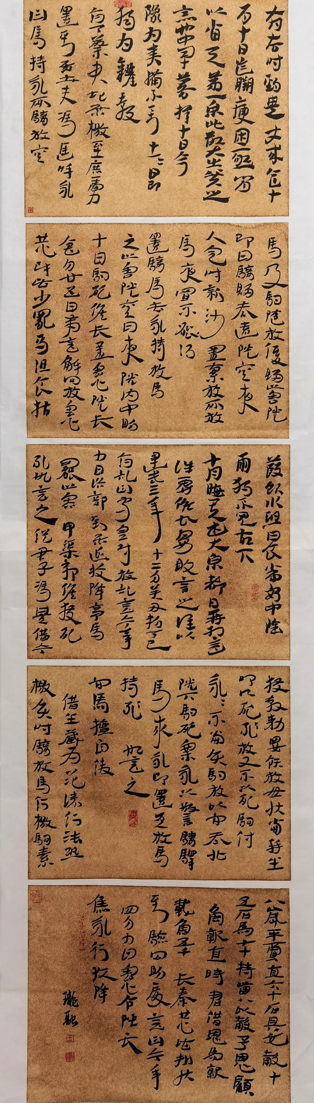 郑州大学书法学院2020级4班章草临摹结课展