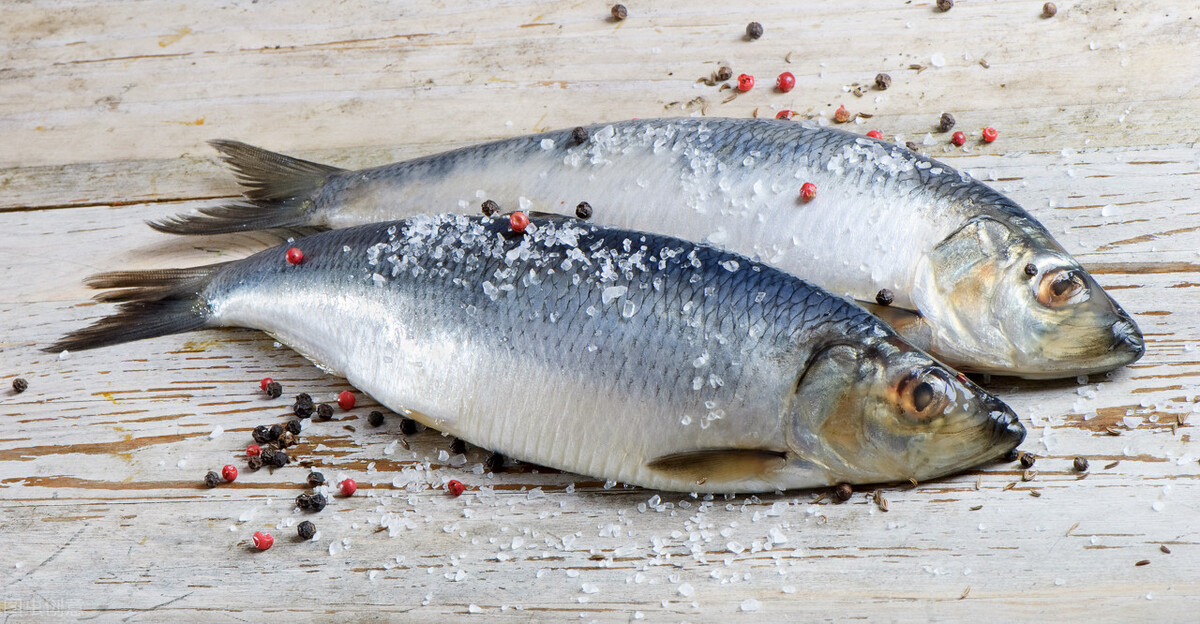 冬季進補，有錢沒錢，這6種魚多給孩子吃，滋補健腦，想挑食都難