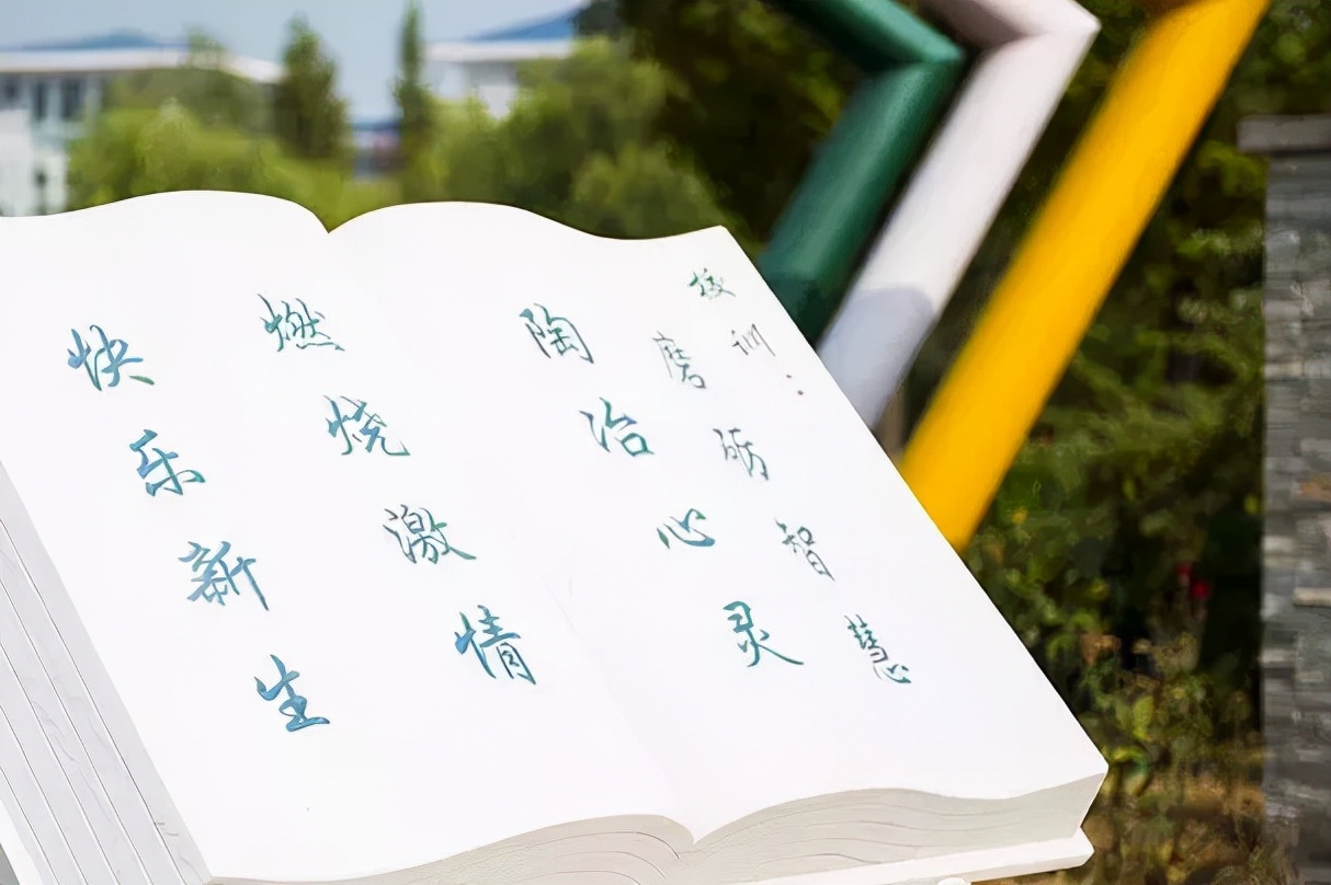 从文化塑造到知识技能学习，我们在这里迎接灿烂的未来