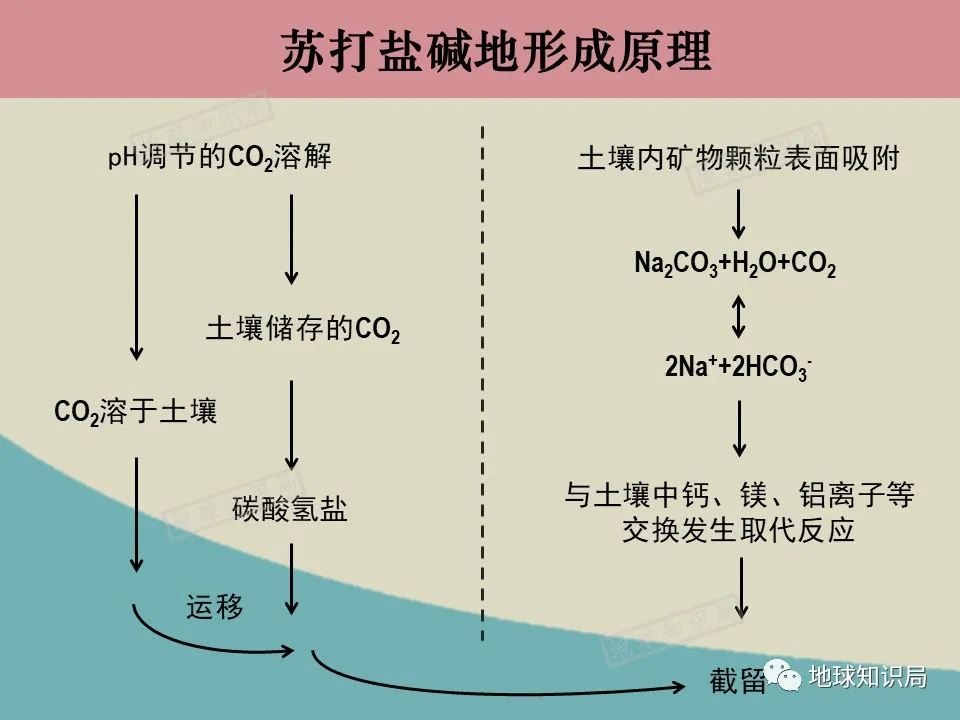 东北盐碱化，令人非常担忧｜地球知识局