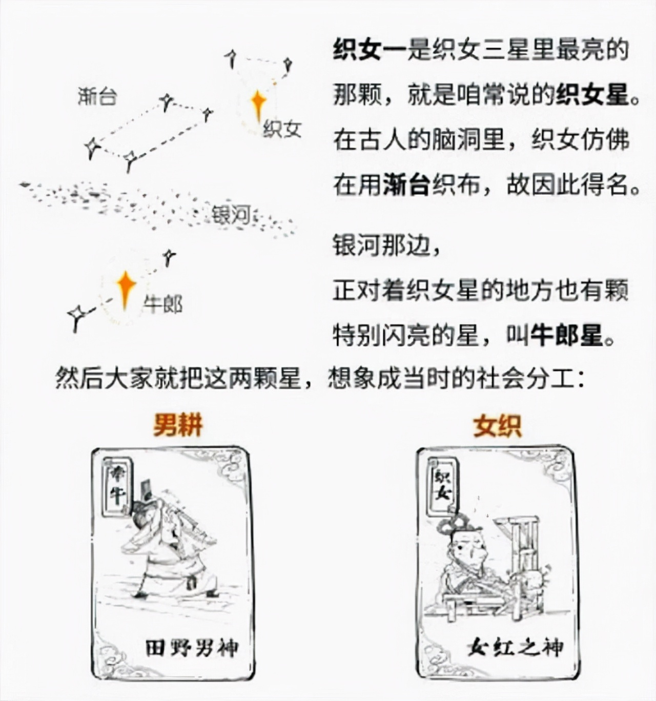 牛郎星织女星(牛郎星和织女星隔着银河相望,它们相距多远?