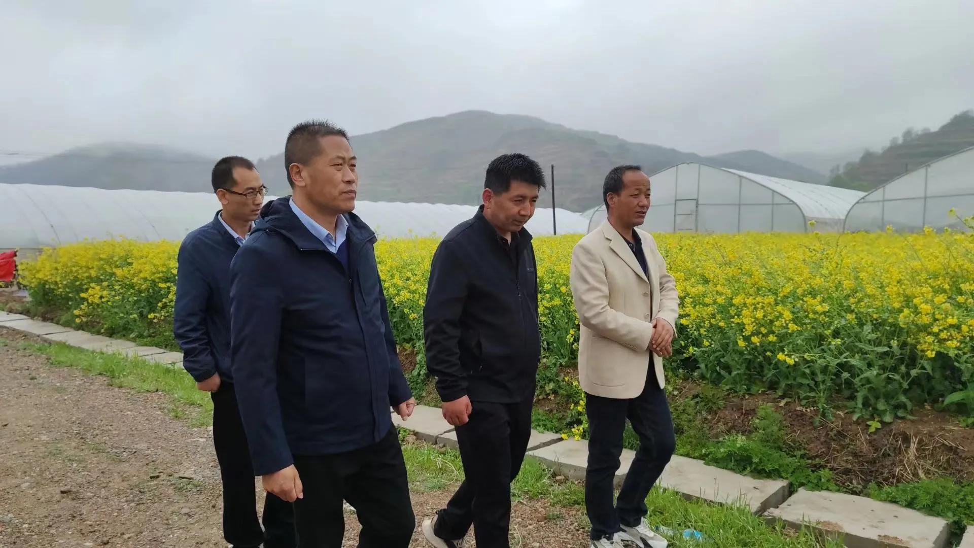 天水市區科協開展“科普之春”蔬菜種植技術培訓