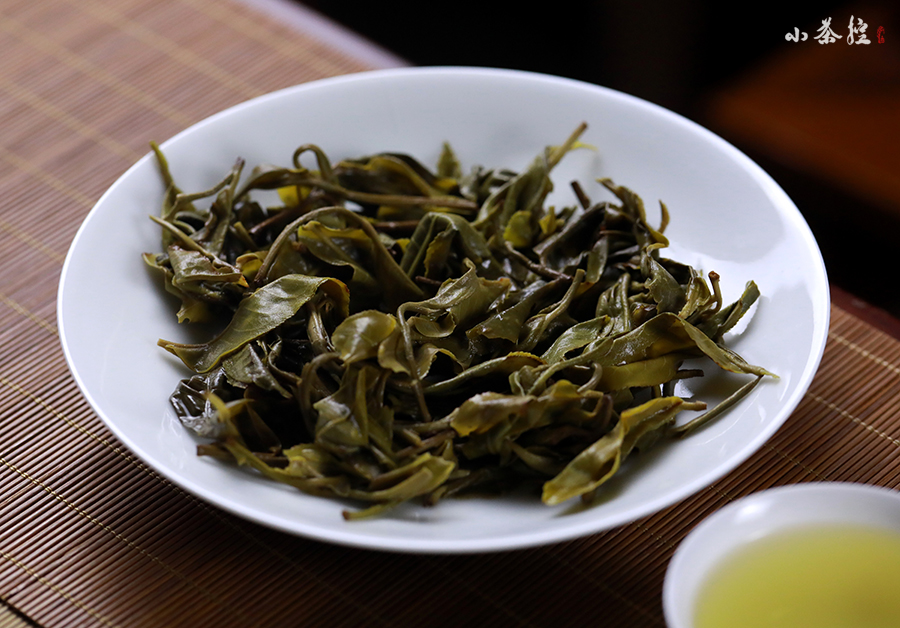 隱秘的美好茶滋味，就藏在無人過問的荒山里