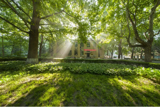 “语”你一起，共赴未来！北京语言大学：在这里，会五洲好友，看大千世界！