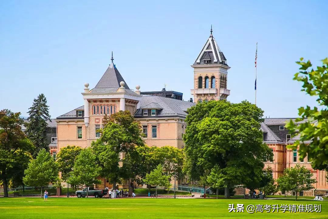 北京理工大学4+0国际本科中外合作办学4+0项目2022年自主招生简介