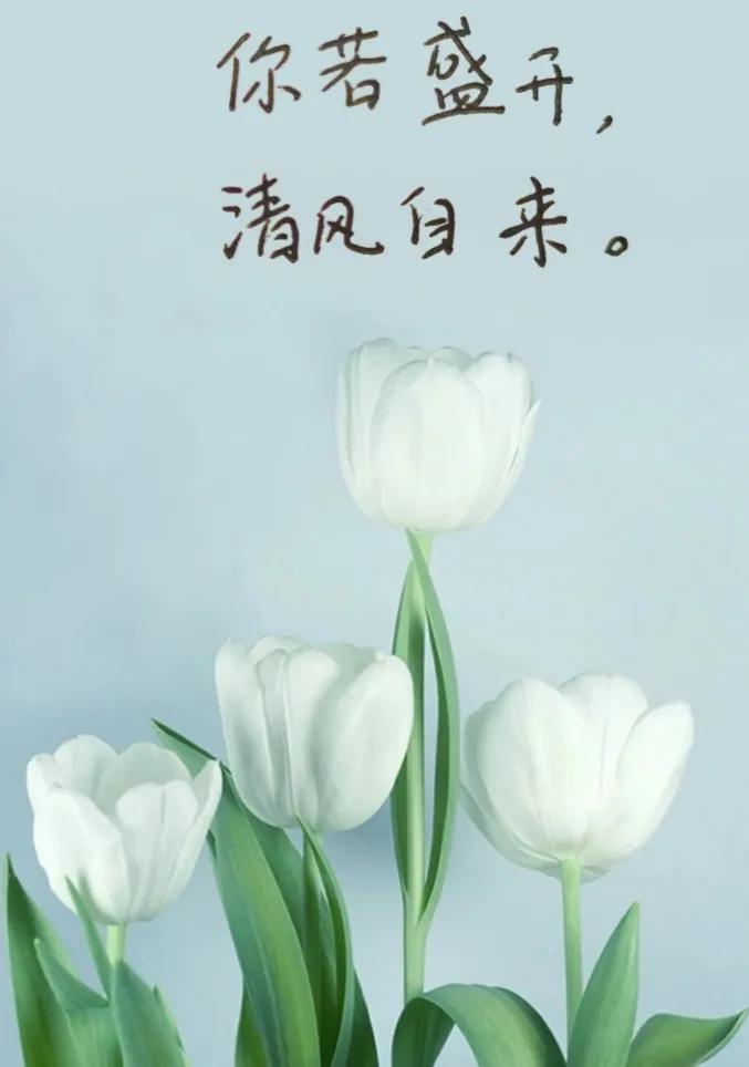 自己一个人挺好的简短说说(自己一个人挺好的句子 )_爱阅读