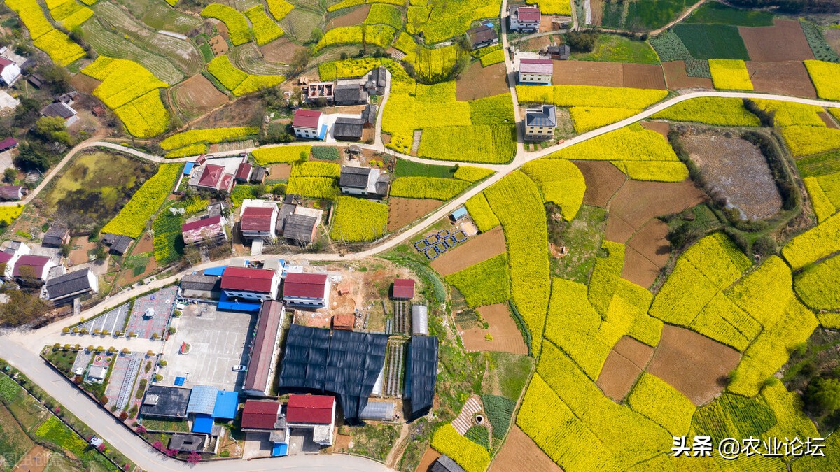 陜西省2022年耕地地力保護(hù)補(bǔ)貼標(biāo)準(zhǔn)是多少？各地每畝補(bǔ)貼多少錢？