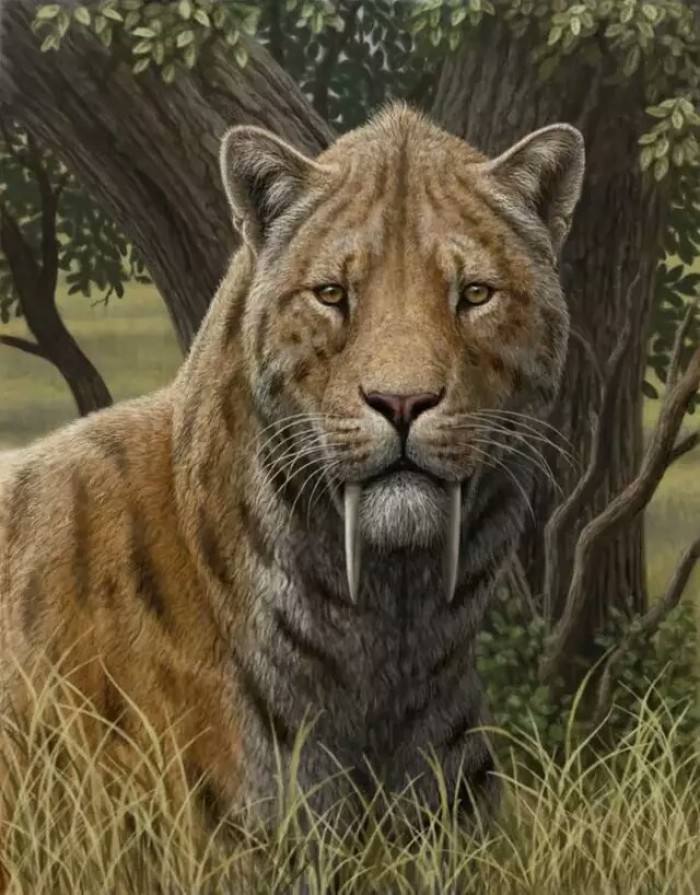 十种史前最强大的猫科动物，你认识几个？