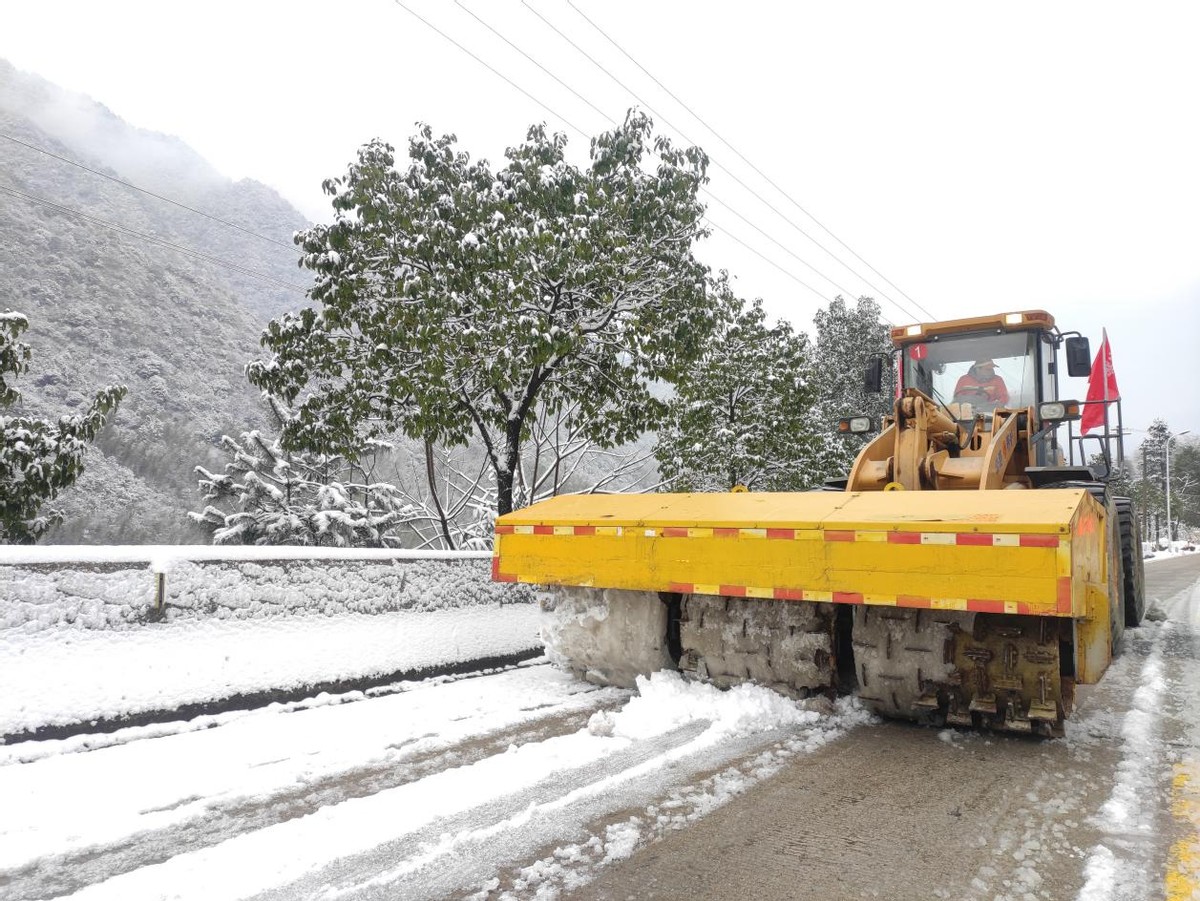 德国瑞典油锯353(迎雪而上，除雪保畅)