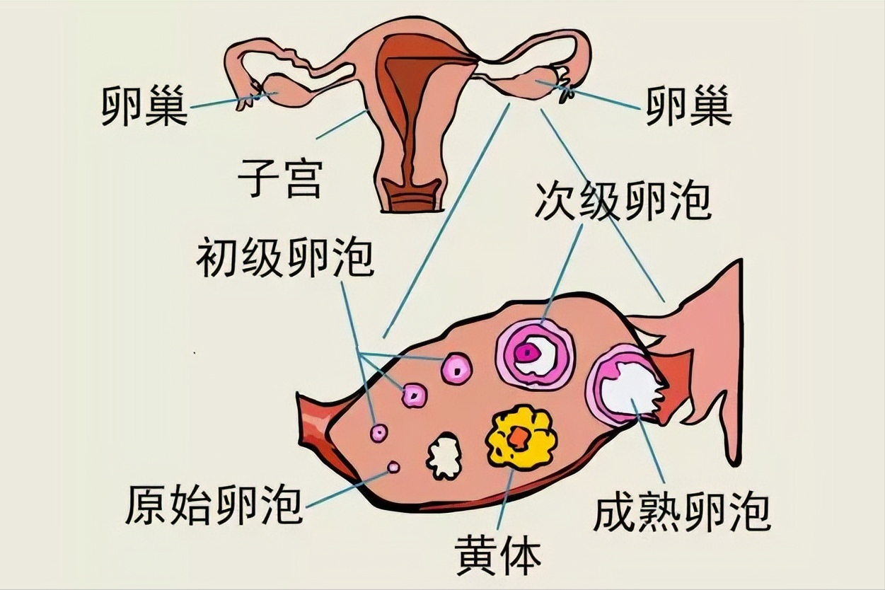 多久做一次爱算正常 男的一般几分钟正常-朝阳百科