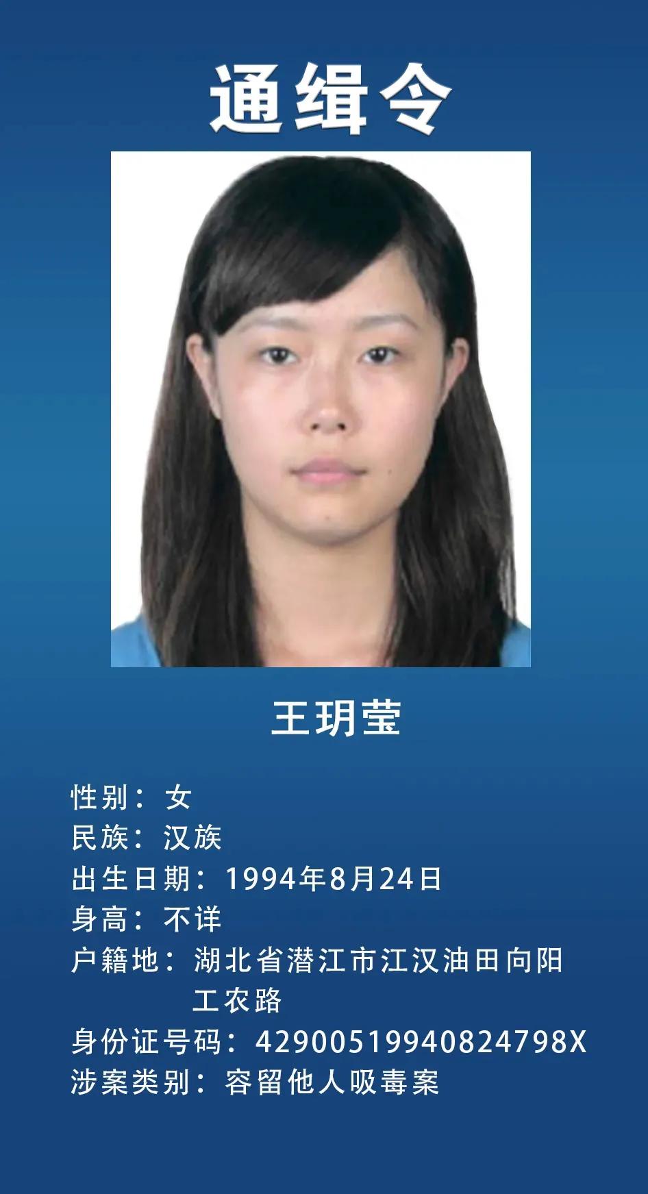 网上通缉犯,网上通缉犯怎么查