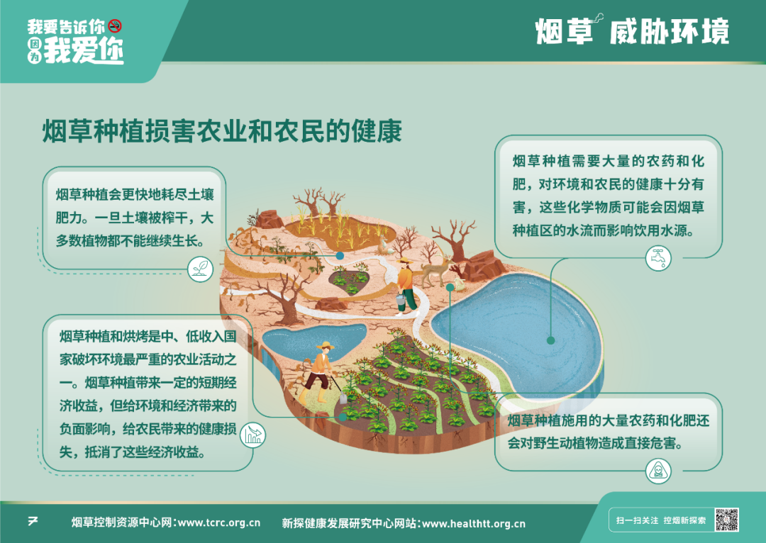远离烟草，爱护环境｜双流区黄甲小学积极开展世界无烟日宣传工作