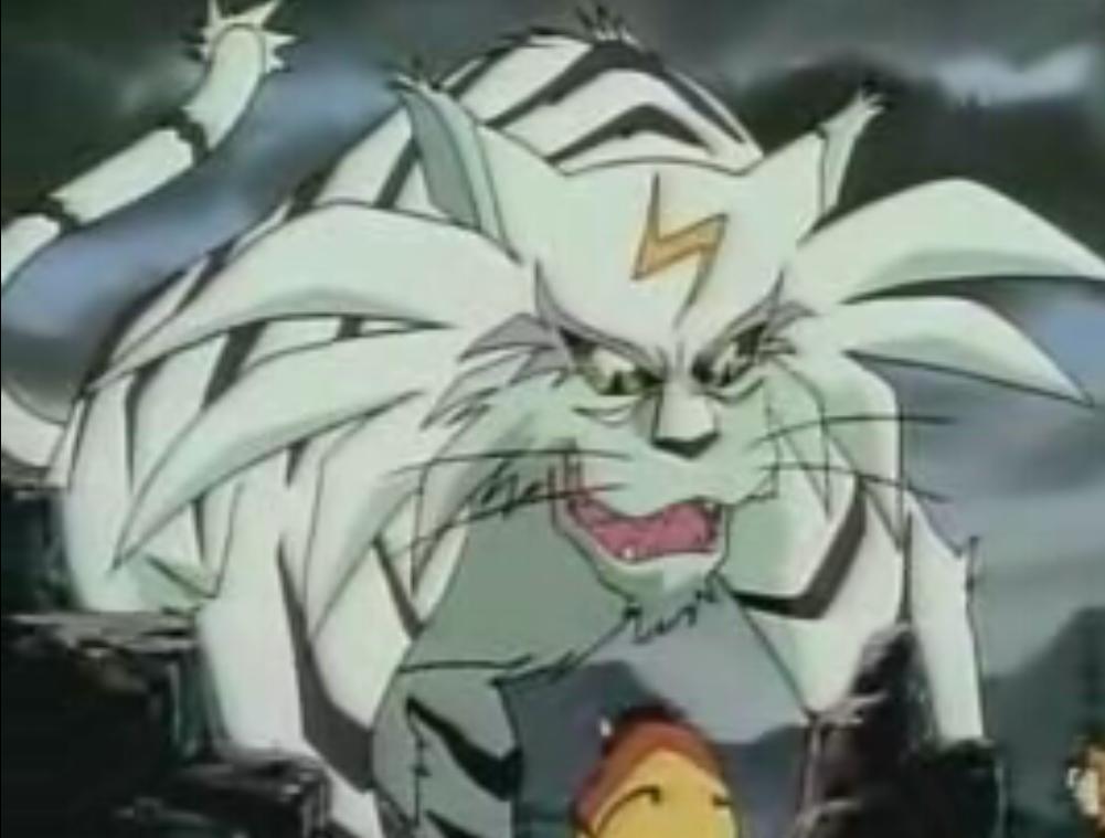 虎年说猫：动漫里的那些猫咪们