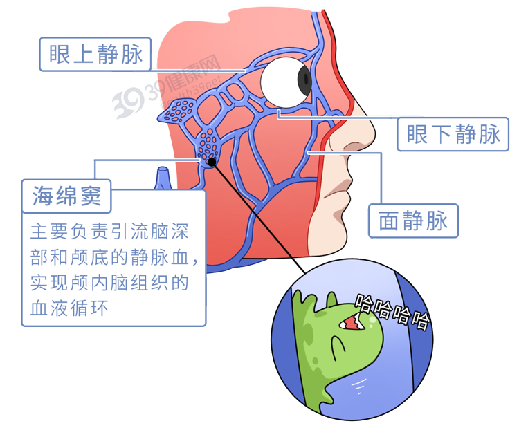 脸上的“危险三角区”，具体指哪里？为啥不能随便挤？涨知识了