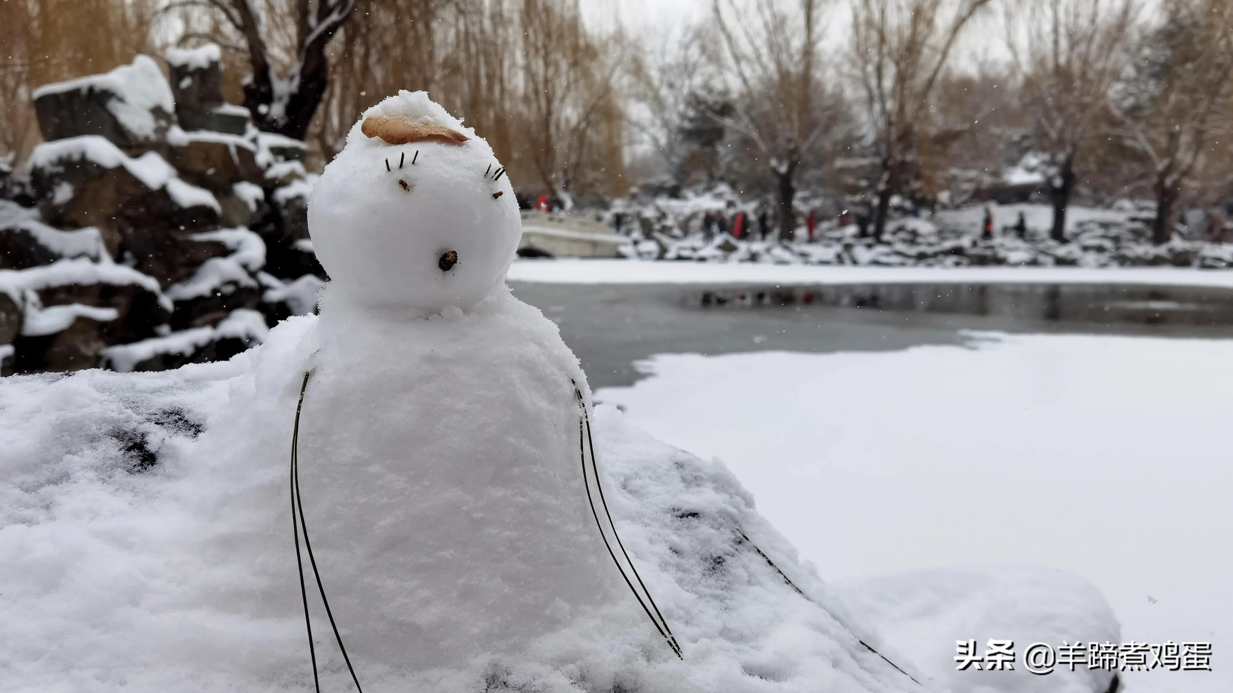 难览观园全画景雪覆腊梅一隅香——踏雪寻游北京大观园