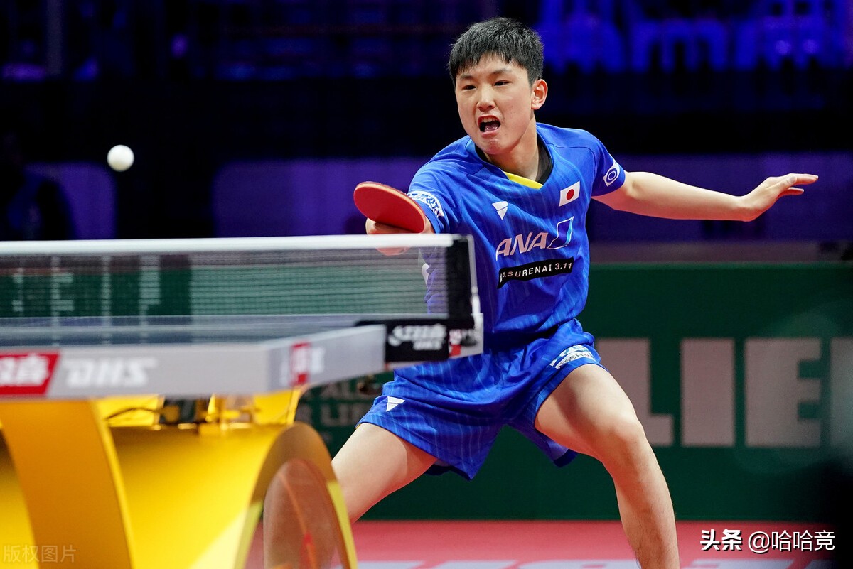 2021乒乓球世界杯男单决赛(张本智和挑战国乒未果,樊振东4比1获胜,世