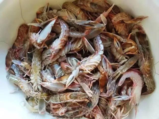 放心吃敞开买,4月大连的5种小海鲜,野生不掺假,最低4元一斤