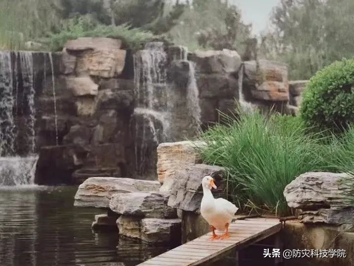 冲刺！高考倒计时30天，我们等你也盼你