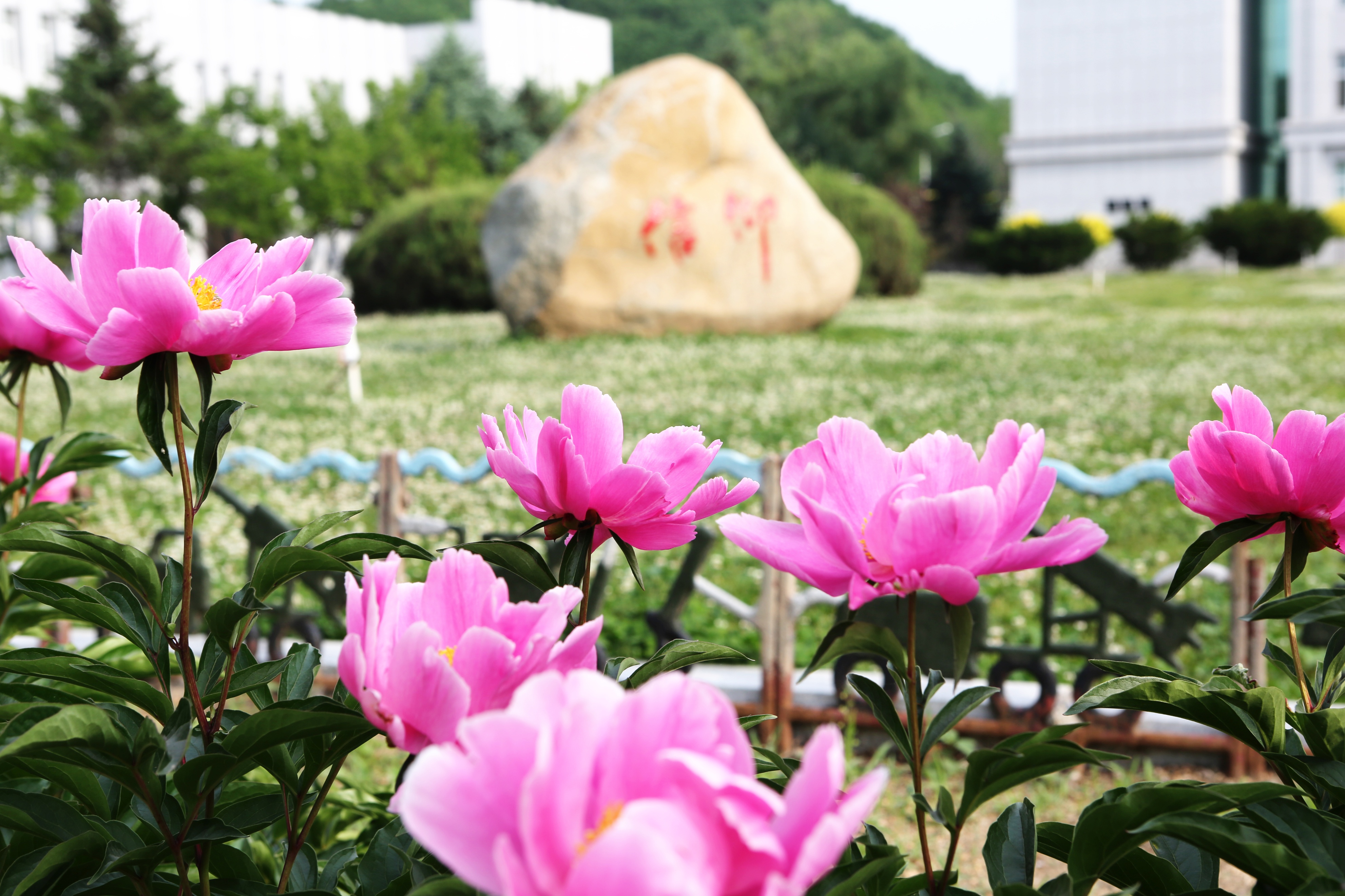 ֣״˭Ϊʲôѧϰѧʲô