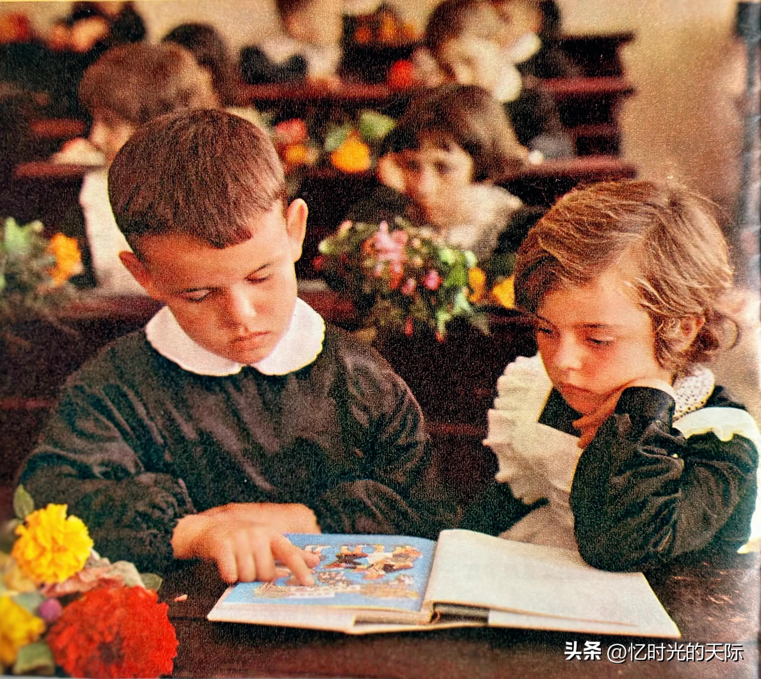м(ji)ɼң-(gu)Ʊ֪ʶѧϰ