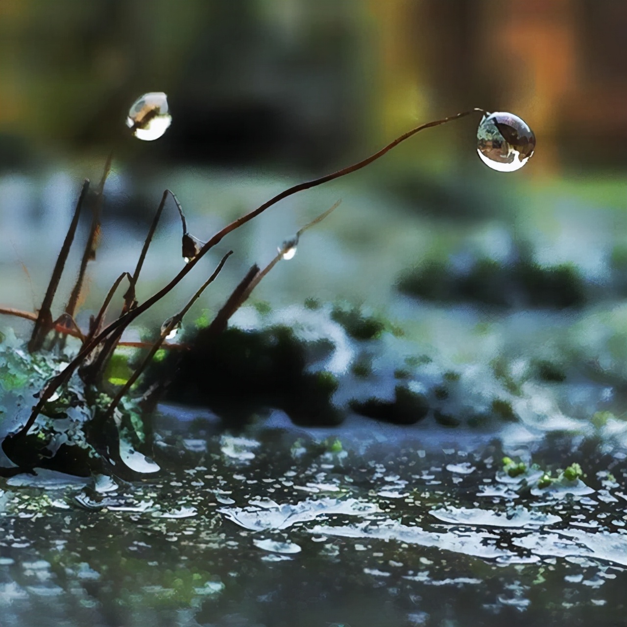 如何用一段话描写下暴雨时的情景？不同季节的雨，写不同季节的情