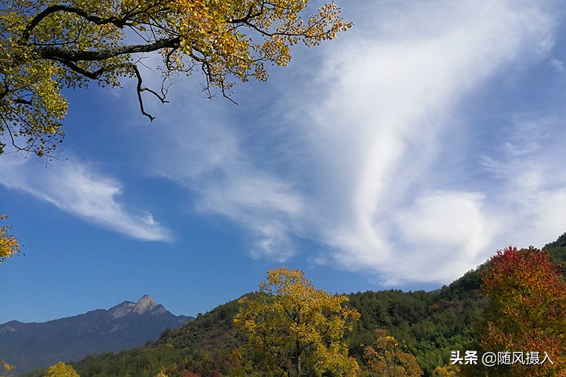 欣赏自然界的秋色美，也要懂得欣赏人生的秋景