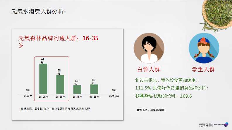 元气森林森林媒介投资规划PPT「食品饮料」「种草带货」