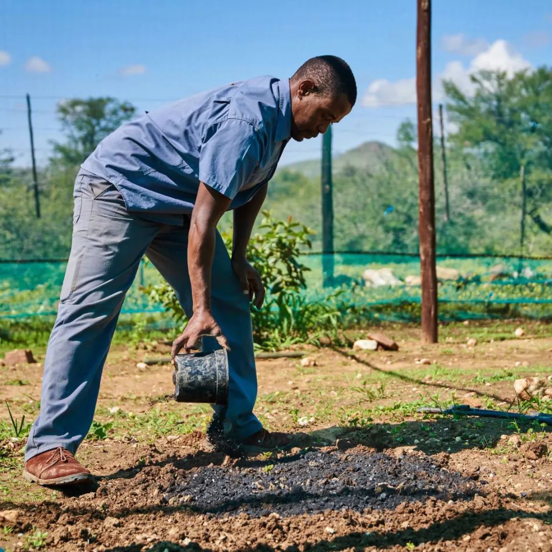 比黄金还珍贵的土，是什么土？｜地球知识局
