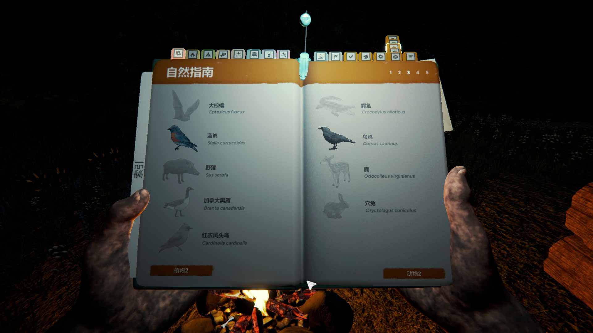 快和你的好兄弟们一起当野人吧《森林》入门篇