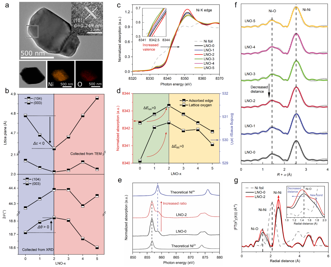 广州大学/悉尼大学｜阳离子空位活化晶格氧助力尿素氧化