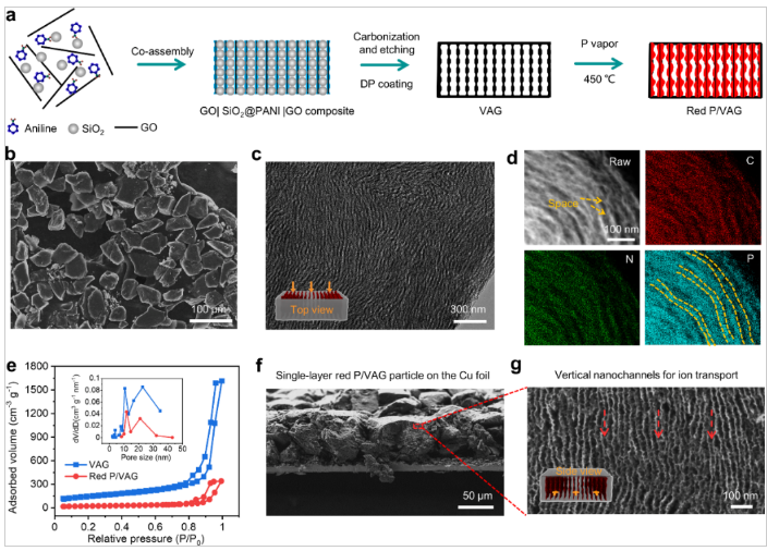华中科大：单层大尺度颗粒电极助力实现快充锂离子电池