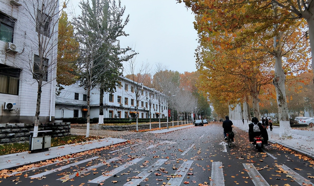 山东大学即将建新校区，面积达7807亩，山大总面积将扩大近1倍