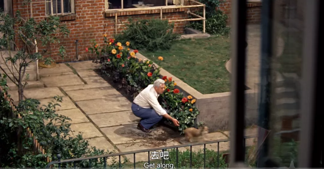 67年过去,它依然是“偷窥片”之神,没有之一