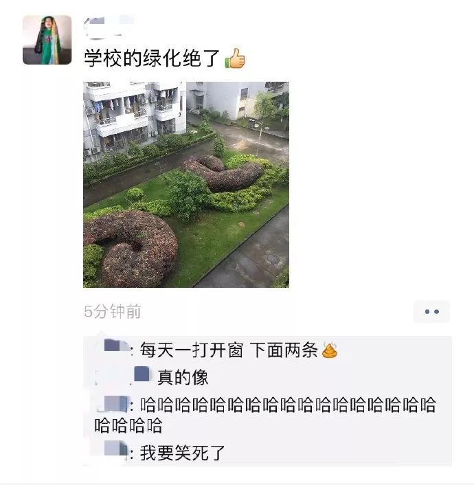 解开了我这么多年的疑惑