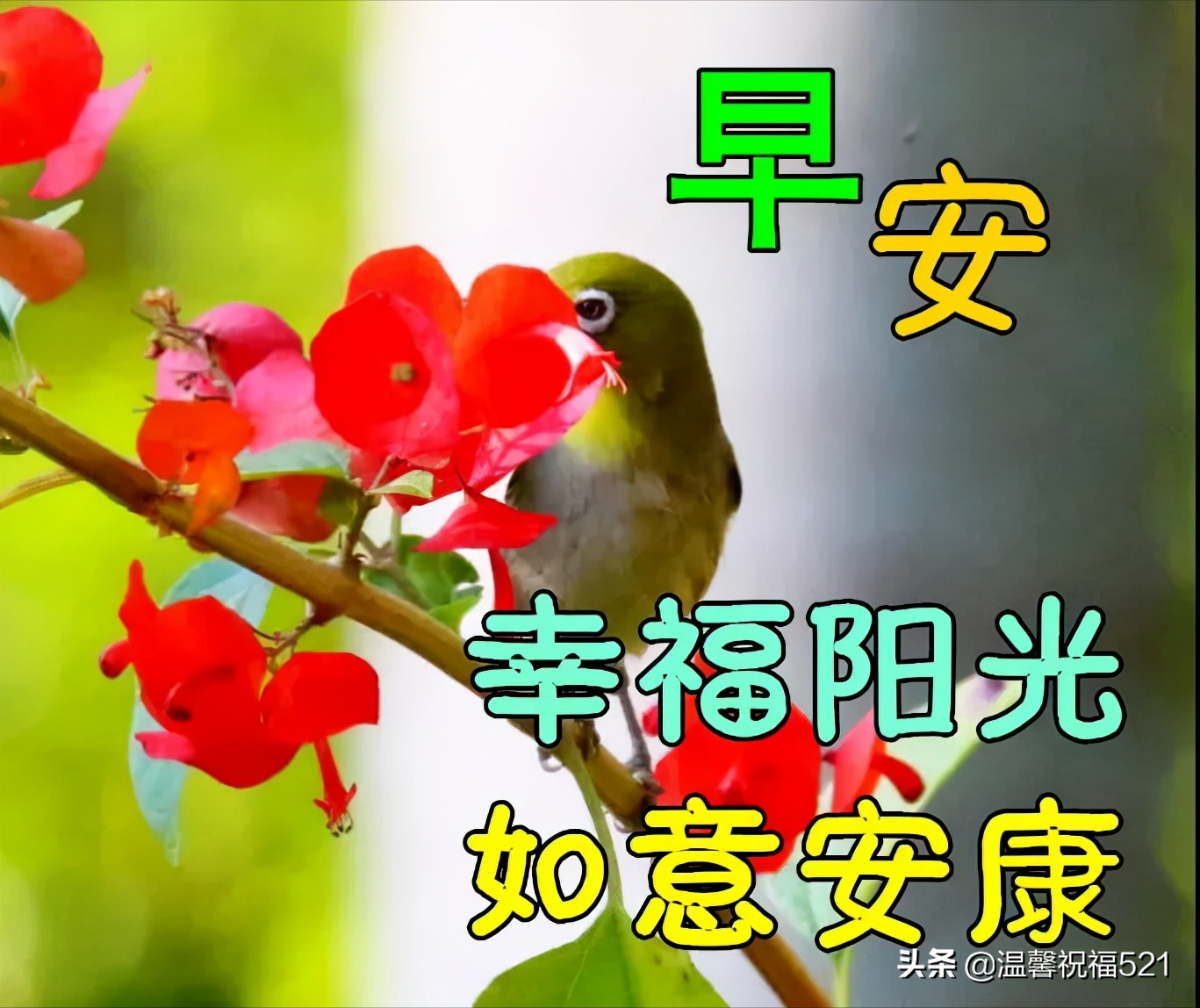 特别漂亮冬日风景早上好动态祝福图片鲜花带字 早安问候祝福图片