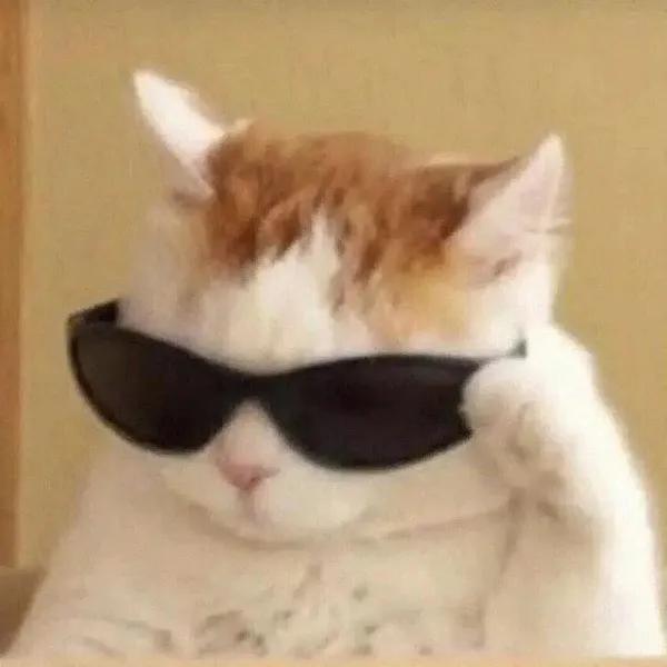 开一家成人用品无人店需要多少成本？